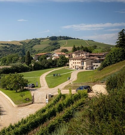 La collina dei ciliegi: 53 ettari di enoturismo per tutti i gusti